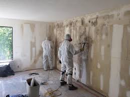  , MD Mold Prevention & Removal Pros